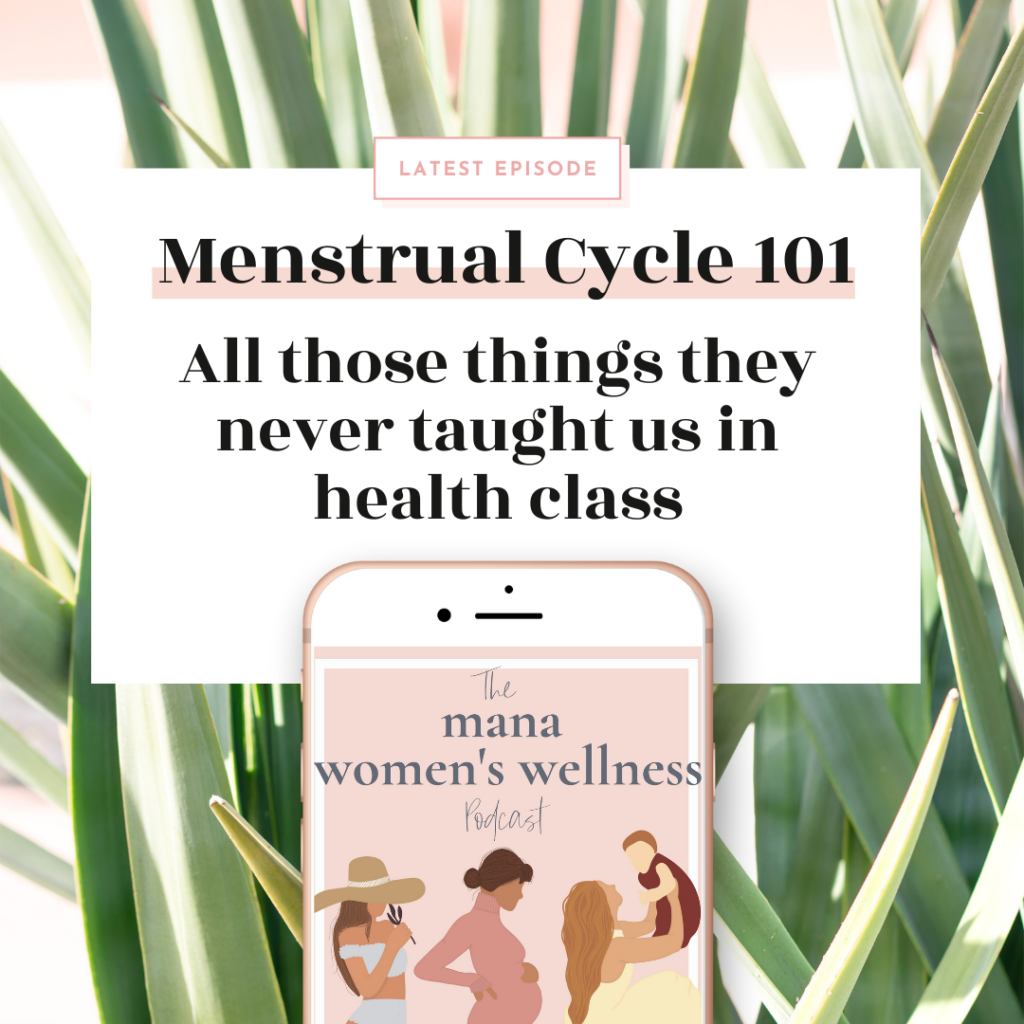 Menstrual Cycle 