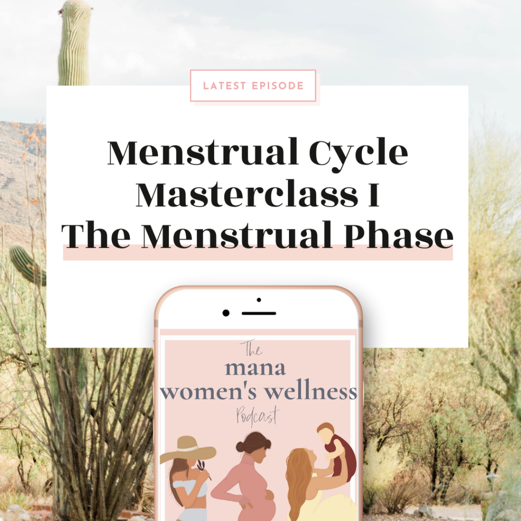 The Menstrual Phase - Menstrual Cycle Masterclass Part 1