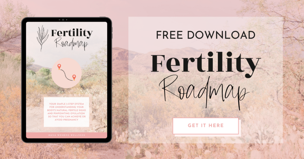 Free Fertility Guide Roadmap