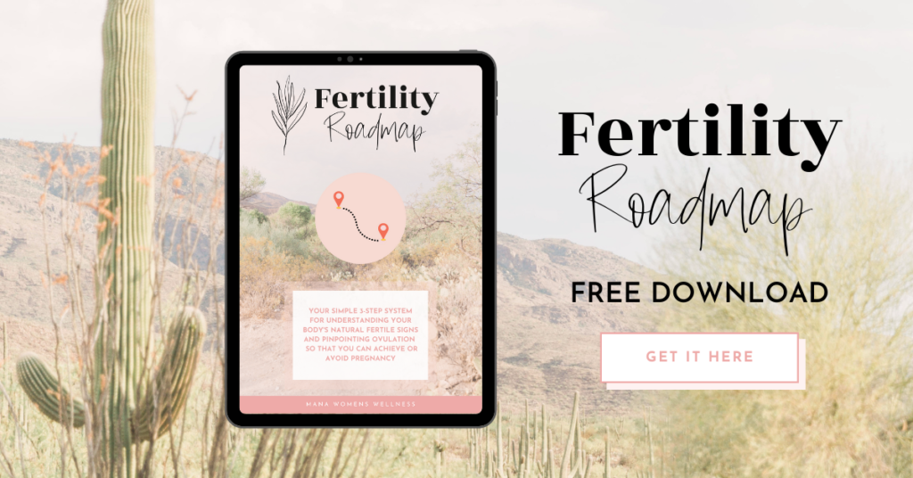 Free Fertility Guide Roadmap