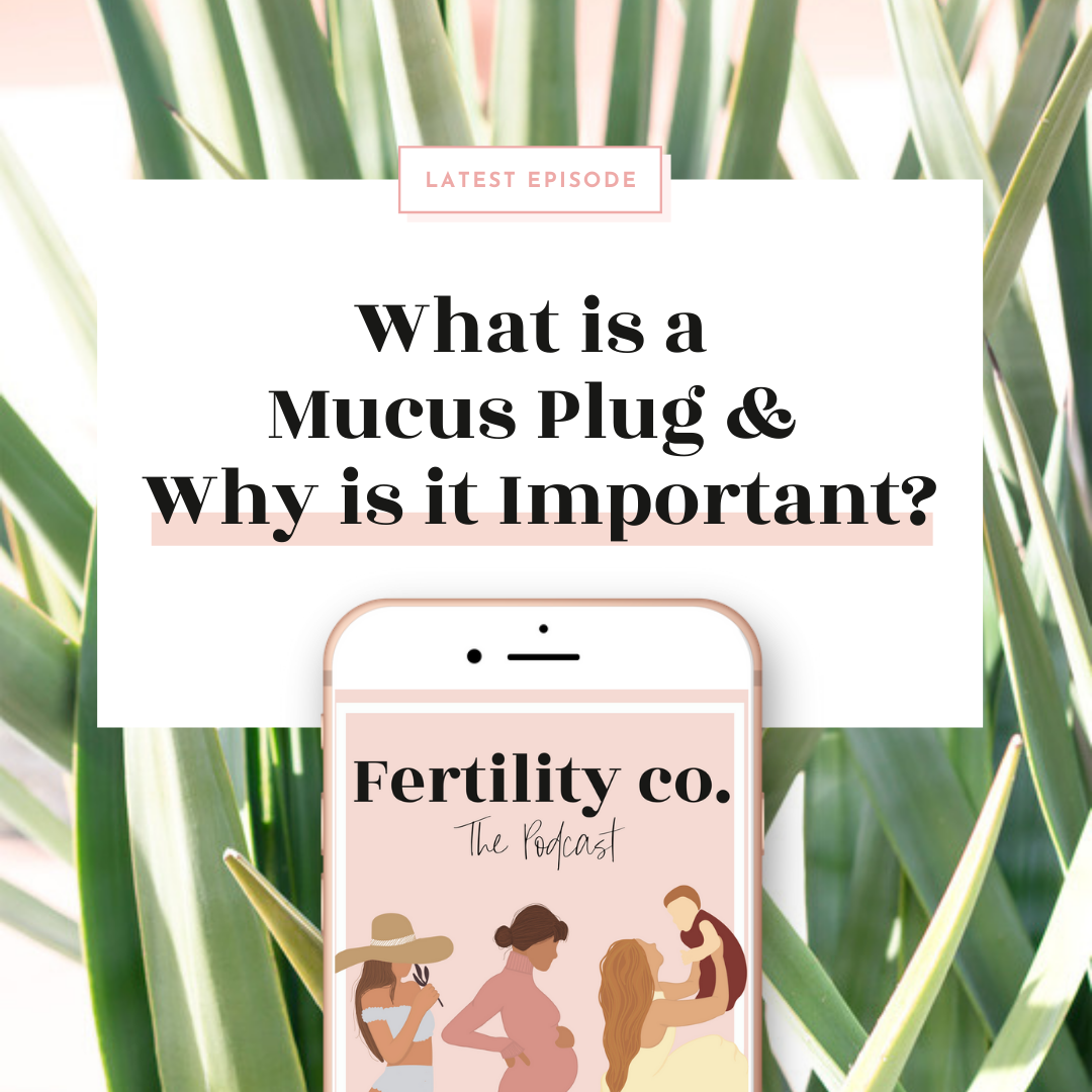 What is a Mucus Plug and Why is it Important?