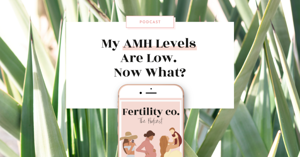 My AMH Levels Are Low. Now What?