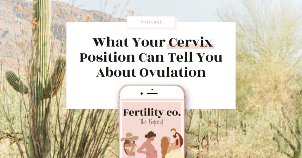 What Your Cervix Position Can Tell You About Ovulation